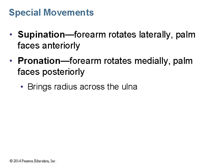Special Movements • Supination—forearm rotates laterally, palm faces anteriorly • Pronation—forearm rotates medially, palm