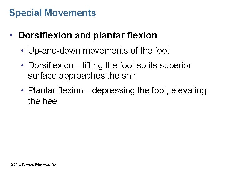 Special Movements • Dorsiflexion and plantar flexion • Up-and-down movements of the foot •
