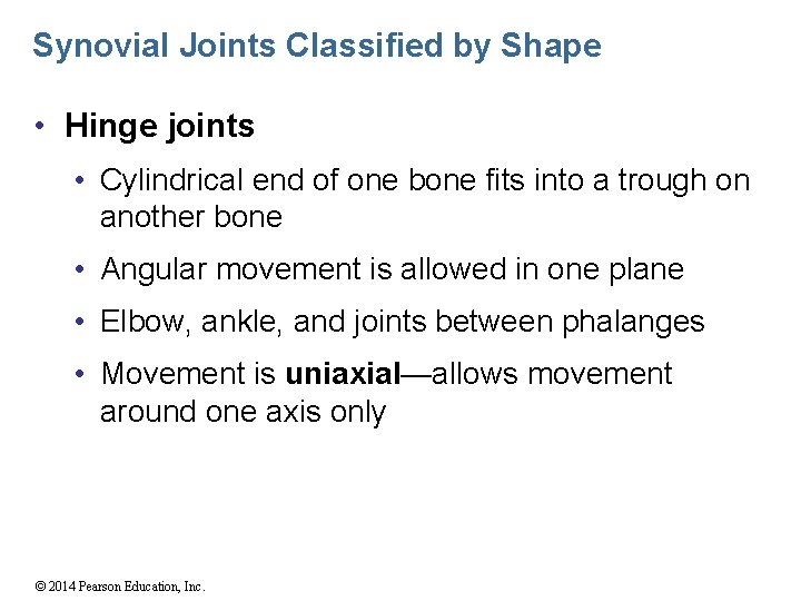 Synovial Joints Classified by Shape • Hinge joints • Cylindrical end of one bone