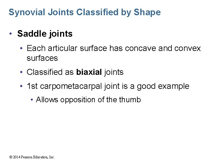 Synovial Joints Classified by Shape • Saddle joints • Each articular surface has concave