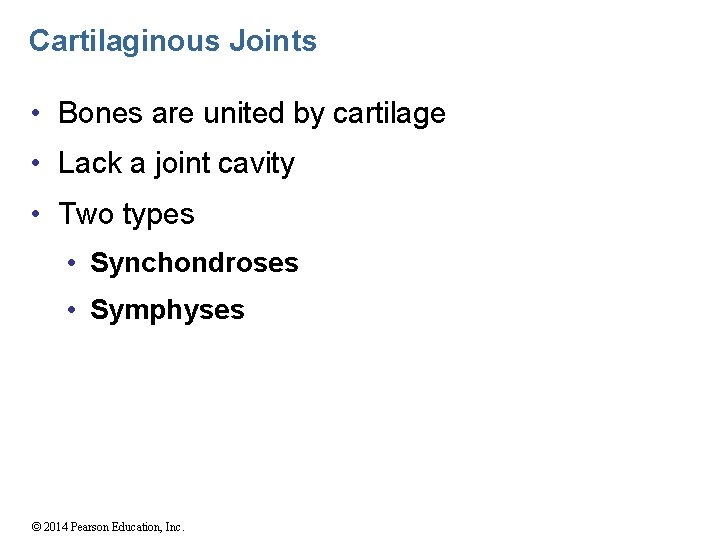 Cartilaginous Joints • Bones are united by cartilage • Lack a joint cavity •