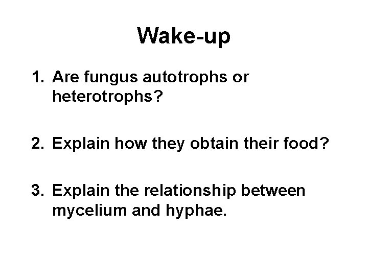 Wake-up 1. Are fungus autotrophs or heterotrophs? 2. Explain how they obtain their food?