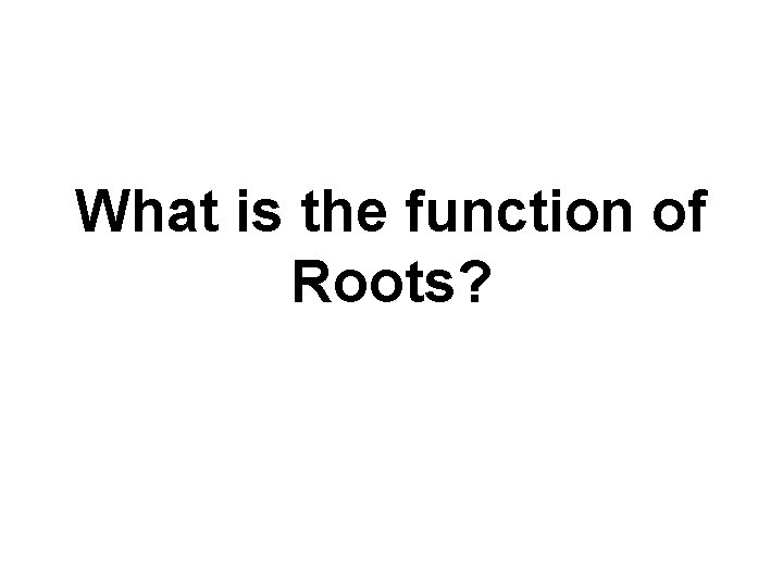 What is the function of Roots? 