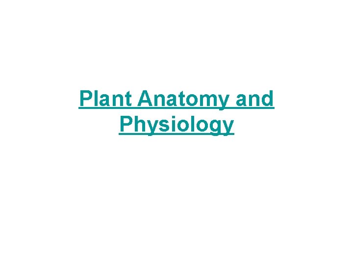 Plant Anatomy and Physiology 
