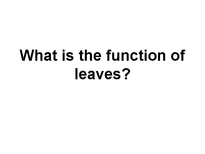 What is the function of leaves? 