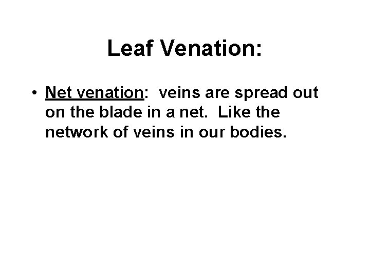 Leaf Venation: • Net venation: veins are spread out on the blade in a