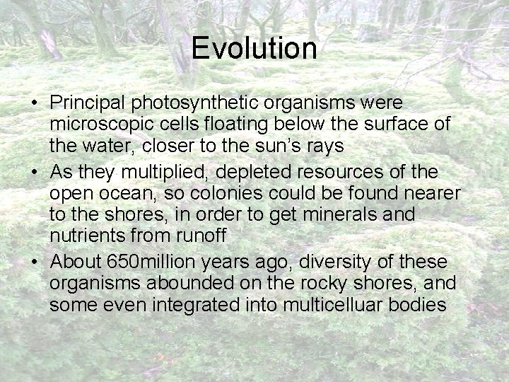 Evolution • Principal photosynthetic organisms were microscopic cells floating below the surface of the