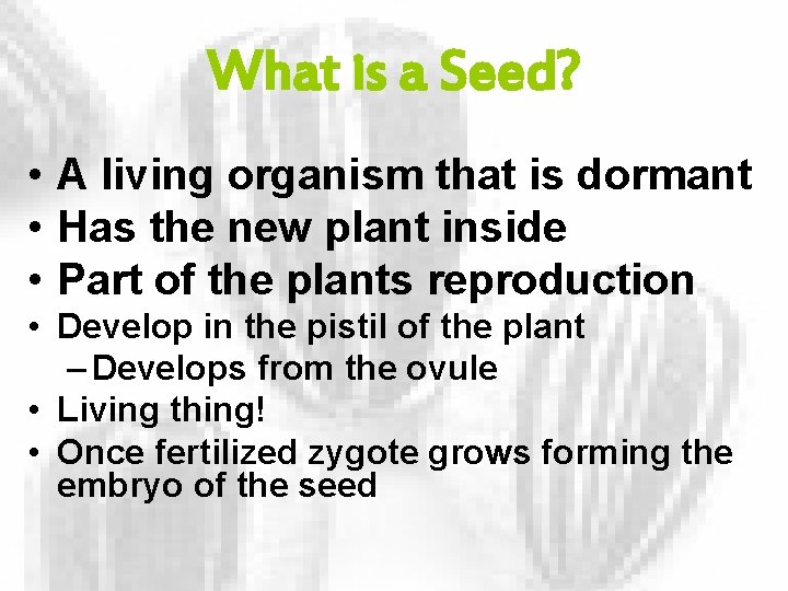 What is a Seed? • A living organism that is dormant • Has the