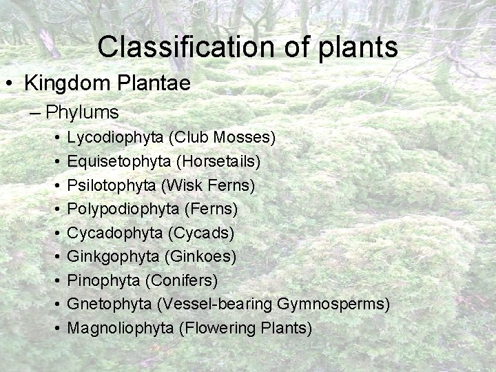 Classification of plants • Kingdom Plantae – Phylums • • • Lycodiophyta (Club Mosses)