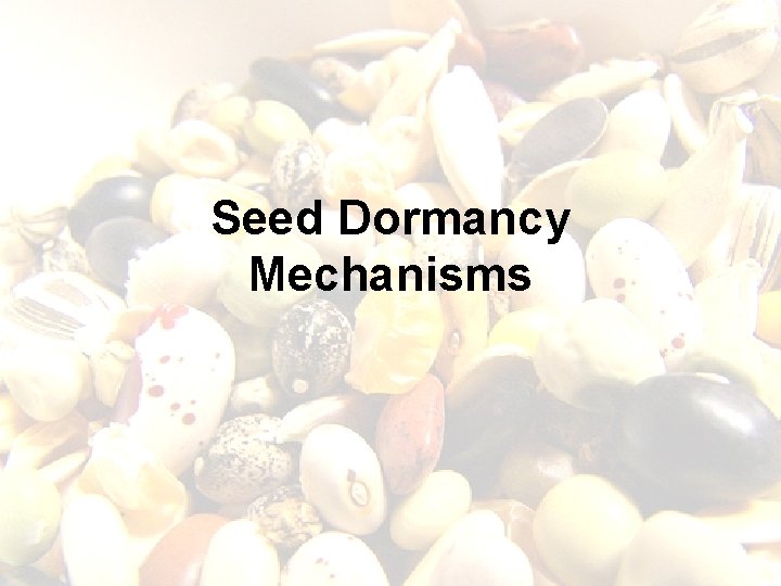Seed Dormancy Mechanisms Seed Dormancy Mechanisms