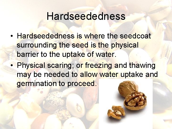 Hardseededness • Hardseededness is where the seedcoat surrounding the seed is the physical barrier