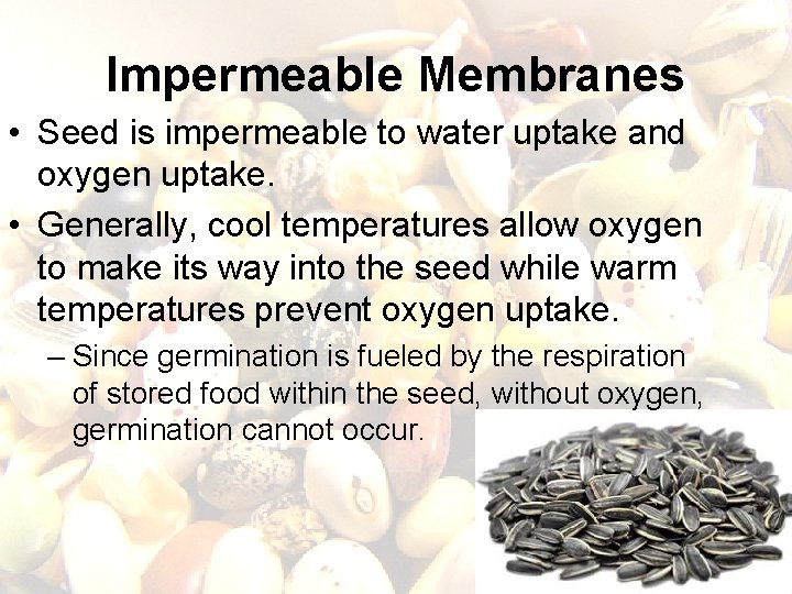 Impermeable Membranes • Seed is impermeable to water uptake and oxygen uptake. • Generally, Impermeable Membranes • Seed is impermeable to water uptake and oxygen uptake. • Generally,