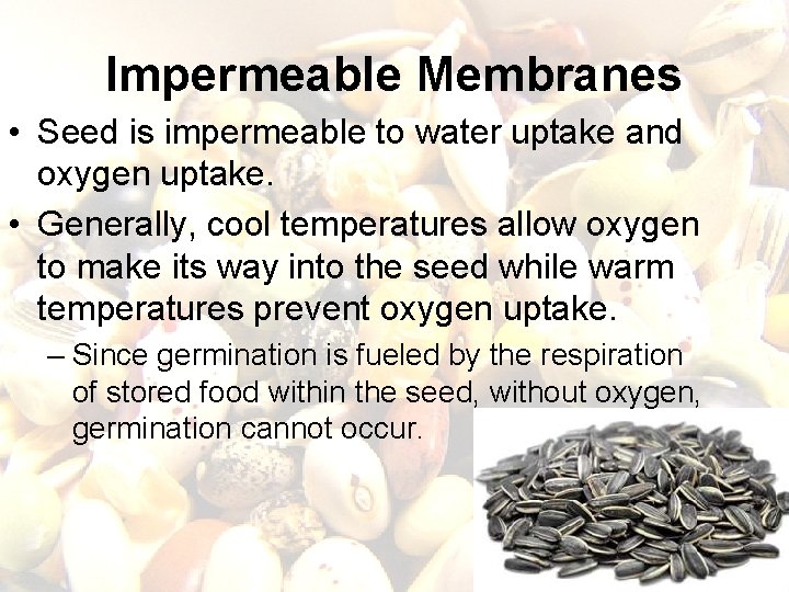 Impermeable Membranes • Seed is impermeable to water uptake and oxygen uptake. • Generally,