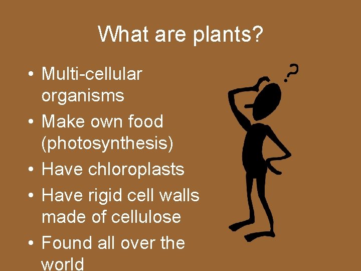 What are plants? • Multi-cellular organisms • Make own food (photosynthesis) • Have chloroplasts