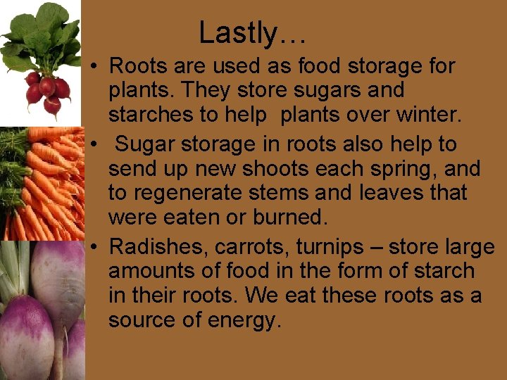 Lastly… • Roots are used as food storage for plants. They store sugars and