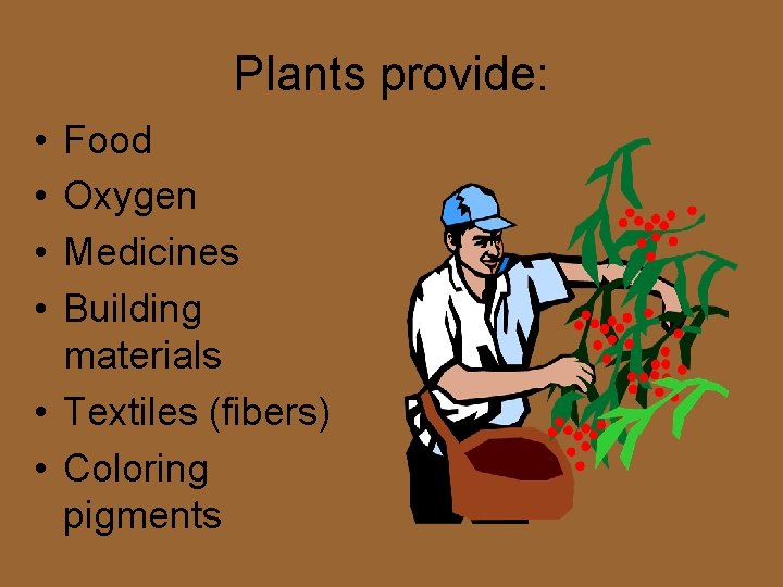 Plants provide: • • Food Oxygen Medicines Building materials • Textiles (fibers) • Coloring Plants provide: • • Food Oxygen Medicines Building materials • Textiles (fibers) • Coloring