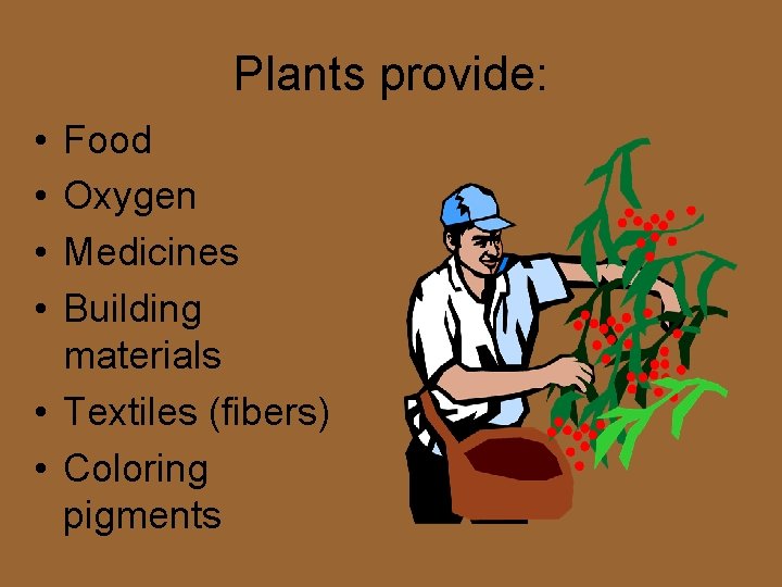 Plants provide: • • Food Oxygen Medicines Building materials • Textiles (fibers) • Coloring