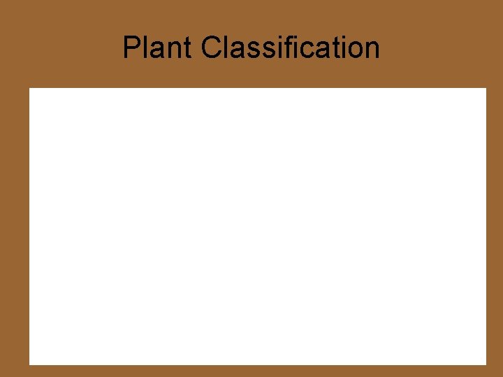 Plant Classification 