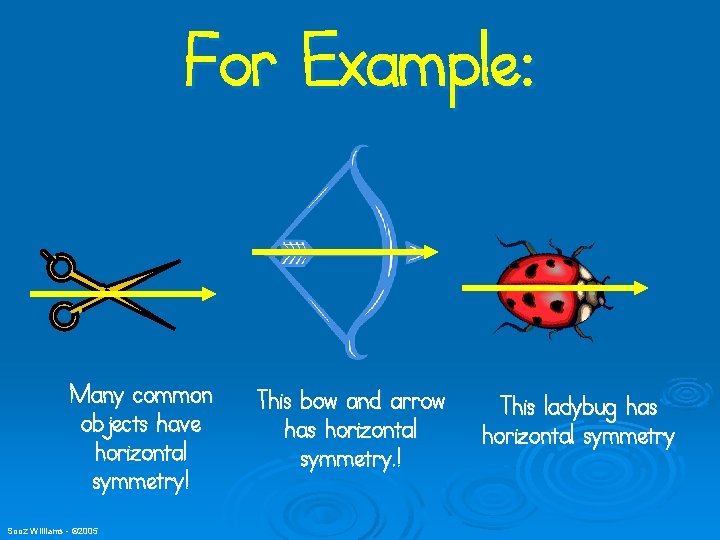 For Example: Many common objects have horizontal symmetry! Sooz Williams - © 2005 This