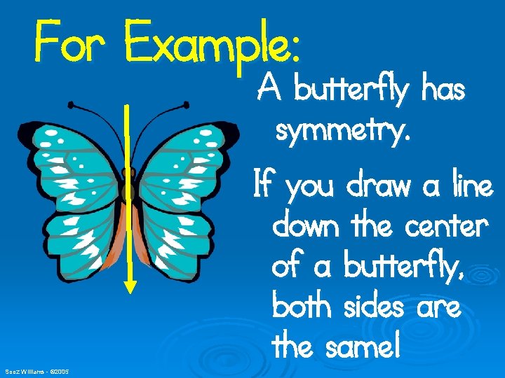 For Example: A butterfly has symmetry. Sooz Williams - © 2005 If you draw