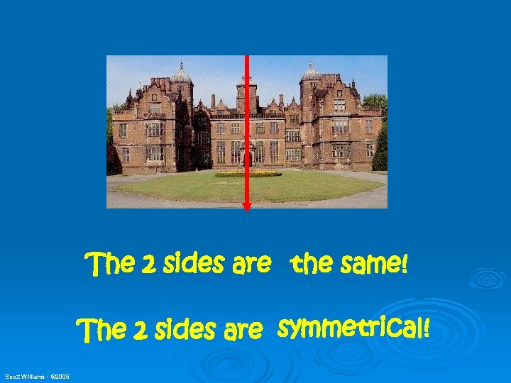 The 2 sides are the same! The 2 sides are symmetrical! Sooz Williams -