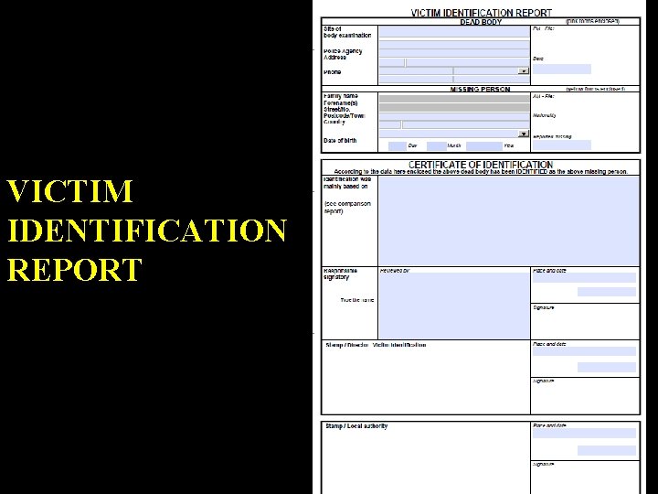 VICTIM IDENTIFICATION REPORT 