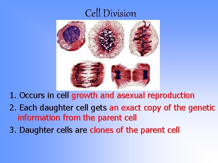 Cell Division 1. Occurs in cell growth and asexual reproduction 2. Each daughter cell Cell Division 1. Occurs in cell growth and asexual reproduction 2. Each daughter cell