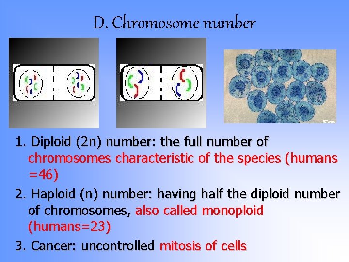D. Chromosome number 1. Diploid (2 n) number: the full number of chromosomes characteristic D. Chromosome number 1. Diploid (2 n) number: the full number of chromosomes characteristic