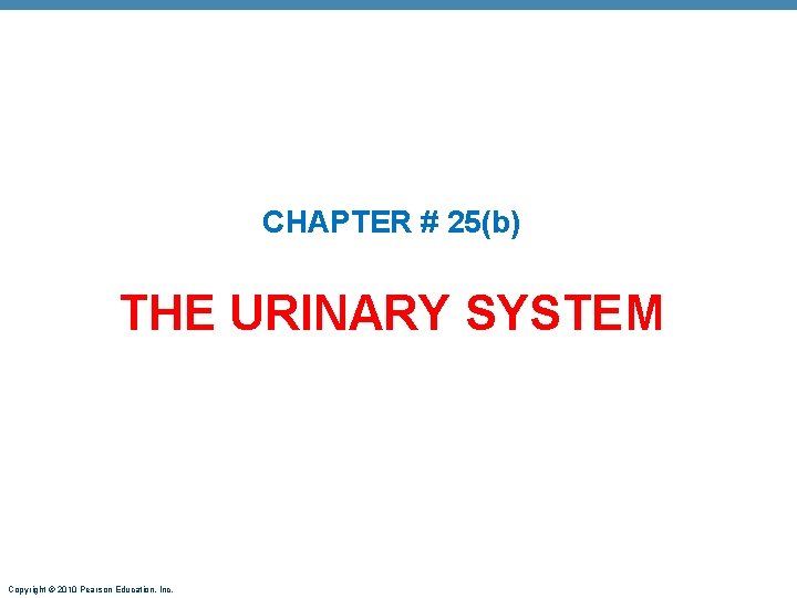 CHAPTER # 25(b) THE URINARY SYSTEM Copyright © 2010 Pearson Education, Inc. 