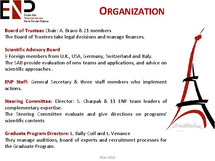 ORGANIZATION Board of Trustees Chair: A. Bravo & 21 members The Board of Trustees