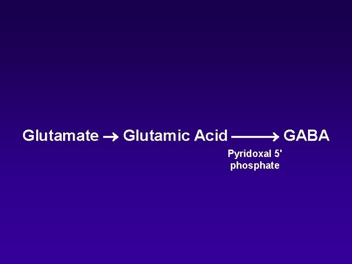 Glutamate Glutamic Acid GABA Pyridoxal 5' phosphate 