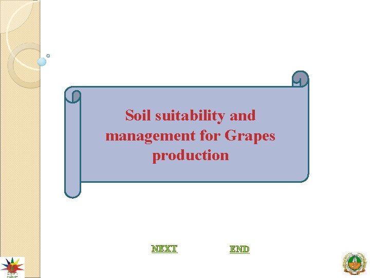 Soil suitability and management for Grapes production NEXT END 
