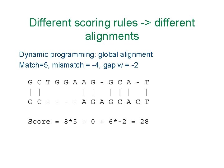 Different scoring rules -> different alignments Dynamic programming: global alignment Match=5, mismatch = -4,