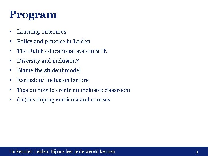 Program • Learning outcomes • Policy and practice in Leiden • The Dutch educational Program • Learning outcomes • Policy and practice in Leiden • The Dutch educational