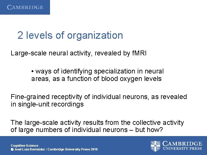 2 levels of organization Large-scale neural activity, revealed by f. MRI • ways of