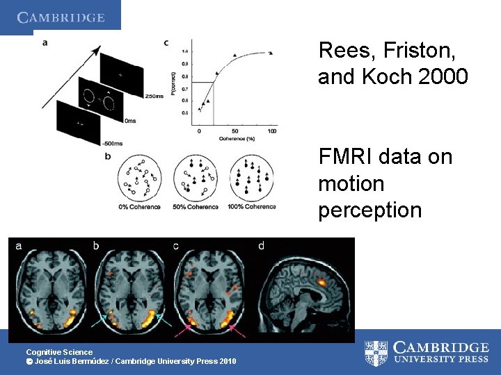 Rees, Friston, and Koch 2000 FMRI data on motion perception Cognitive Science José Luis