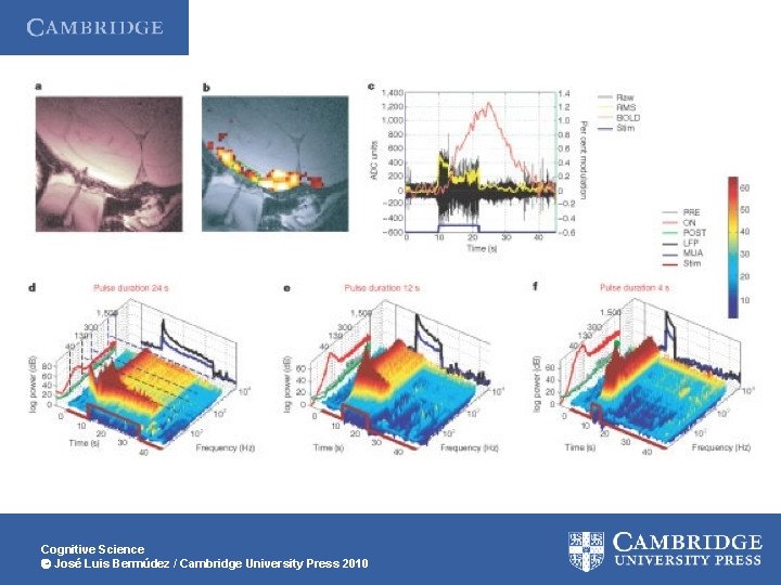 Cognitive Science José Luis Bermúdez / Cambridge University Press 2010 