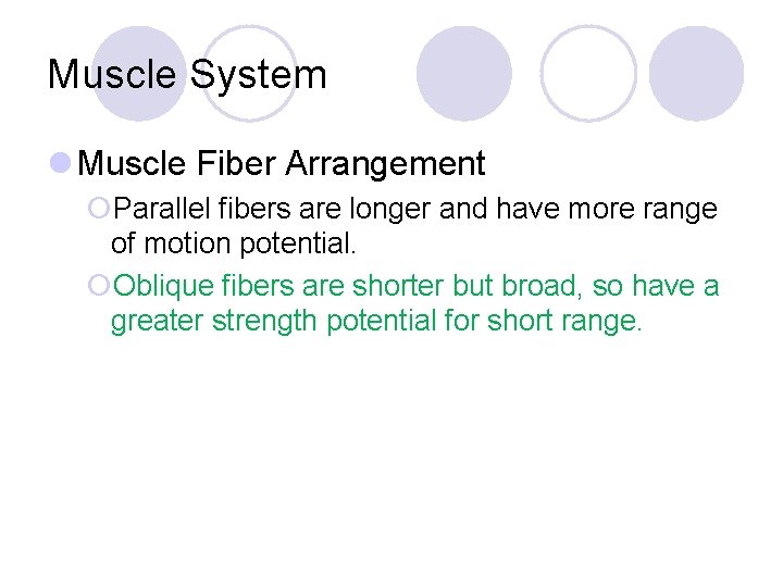 Muscle System l Muscle Fiber Arrangement ¡Parallel fibers are longer and have more range