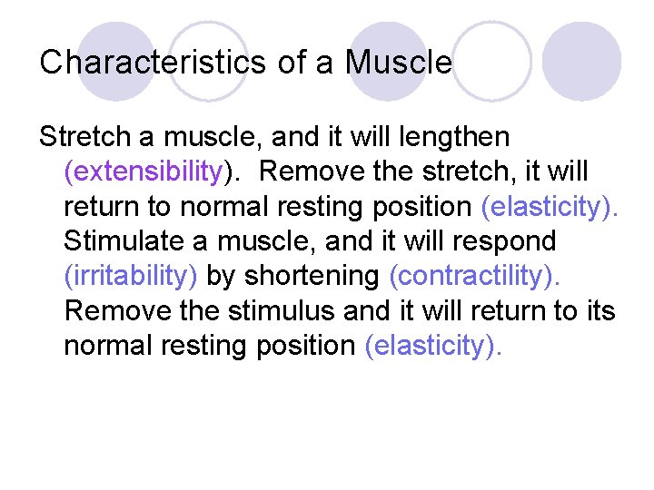 Characteristics of a Muscle Stretch a muscle, and it will lengthen (extensibility). Remove the