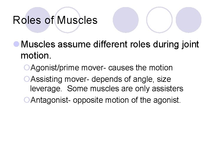 Roles of Muscles l Muscles assume different roles during joint motion. ¡Agonist/prime mover- causes