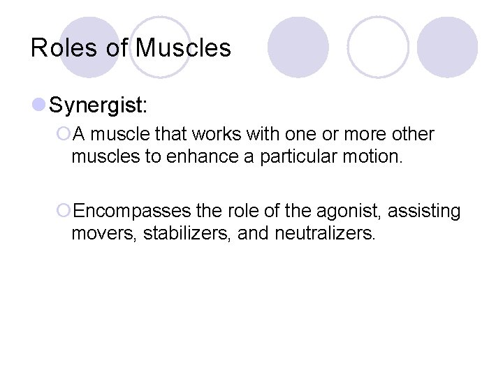 Roles of Muscles l Synergist: ¡A muscle that works with one or more other