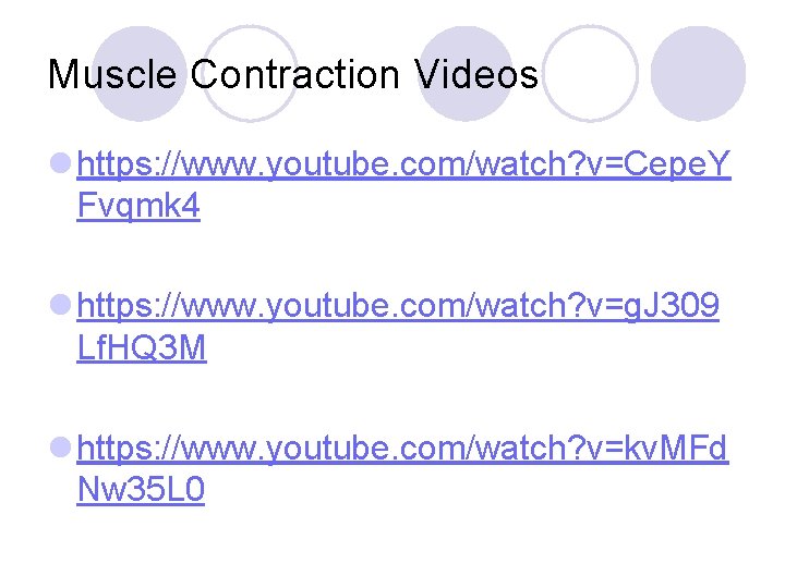 Muscle Contraction Videos l https: //www. youtube. com/watch? v=Cepe. Y Fvqmk 4 l https: