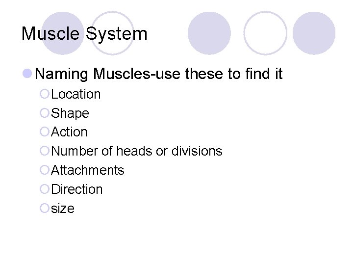 Muscle System l Naming Muscles-use these to find it ¡Location ¡Shape ¡Action ¡Number of Muscle System l Naming Muscles-use these to find it ¡Location ¡Shape ¡Action ¡Number of