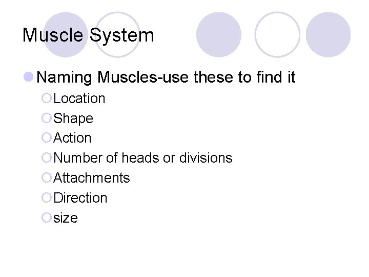 Muscle System l Naming Muscles-use these to find it ¡Location ¡Shape ¡Action ¡Number of