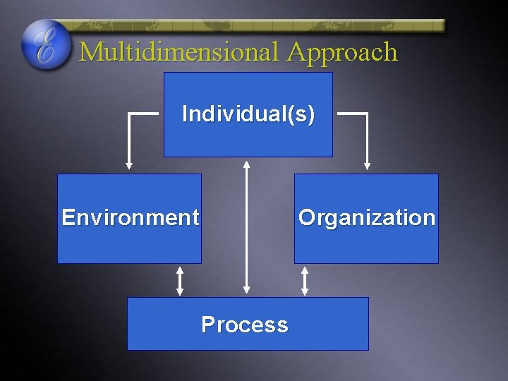 Multidimensional Approach Individual(s) Environment Organization Process 