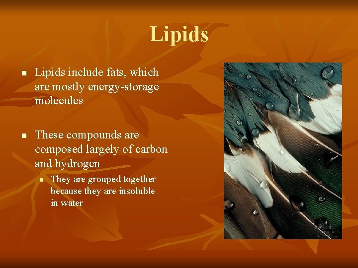 Lipids n n Lipids include fats, which are mostly energy-storage molecules These compounds are