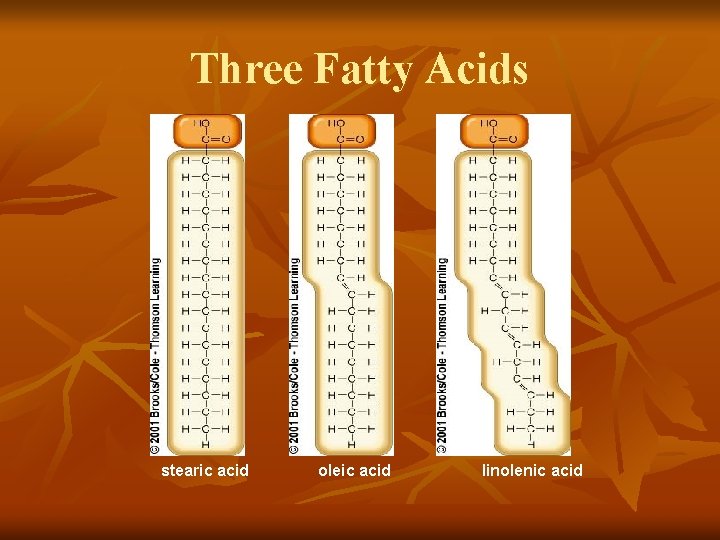 Three Fatty Acids stearic acid oleic acid linolenic acid 