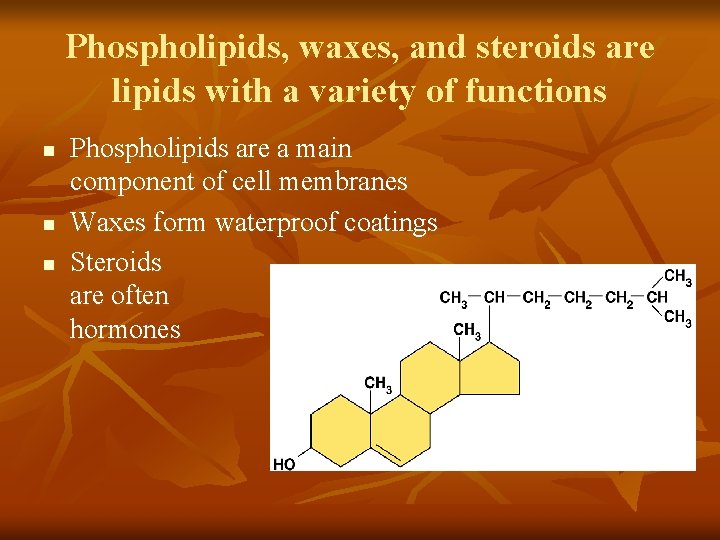 Phospholipids, waxes, and steroids are lipids with a variety of functions n n n