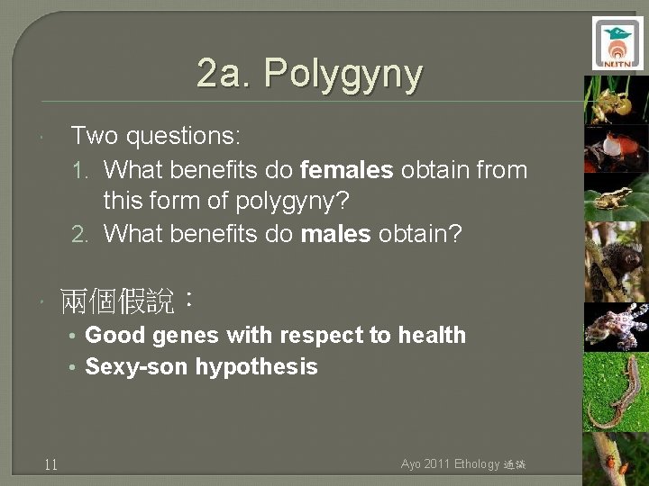 2 a. Polygyny Two questions: 1. What benefits do females obtain from this form