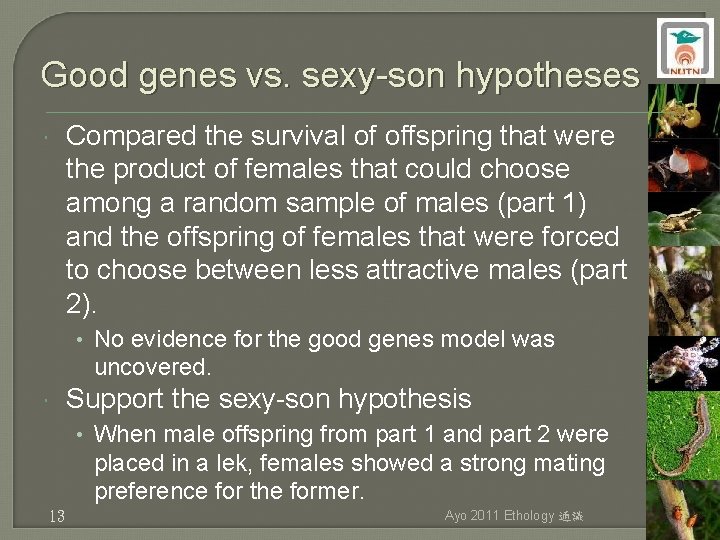 Good genes vs. sexy-son hypotheses Compared the survival of offspring that were the product